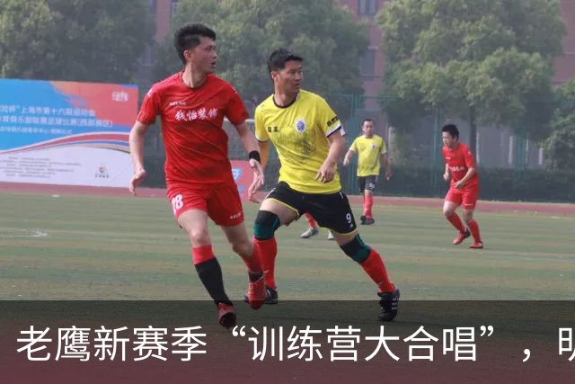 老鹰新赛季“训练营大合唱”，明星阵容悉数亮相！